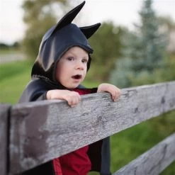 Great Pretenders Twee-in-één Spiderman/Batman-cape, Div. Maten 15 Great Pretenders Twee-in-één Spiderman/Batman-cape, Div. Maten -Kinderserie Winkel 55271 55272ls4