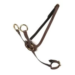 Stokpaard Access. -Martingaal, Bruin/goud