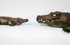 Reuze Krokodil - 100% Natuurrubber - 88 Cm -Kinderserie Winkel dyr i 100 naturgummi k mpekrokodille green rubber toys 14 gr17073l 3