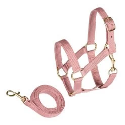 Stokpaard Access. -Halster, Rose