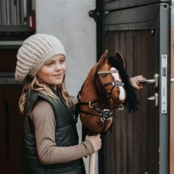 Stokpaard Access. - Bit , Zilver -Kinderserie Winkel msp 5299 besk ret2 2