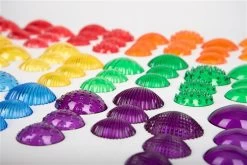 Tactiele Schelpen - Transparant - 108 St. -Kinderserie Winkel taktilskaller transparente 108stk edxeducation 1020 72303 4